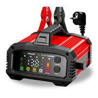 FPT-250 Universal lead acid and lifepo4 battery charger with Adjustable Current