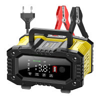 FPT-100 Universal lead acid and lifepo4 battery charger