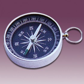 Compass 343