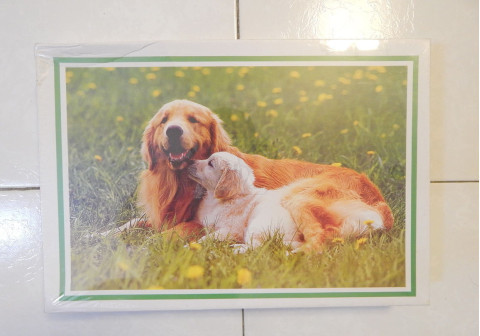 پازل 1000 تکه با طرح سگ