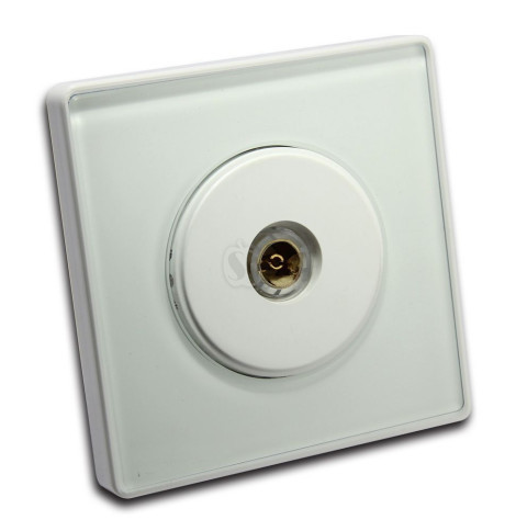 Antenna Wall Plate Socket