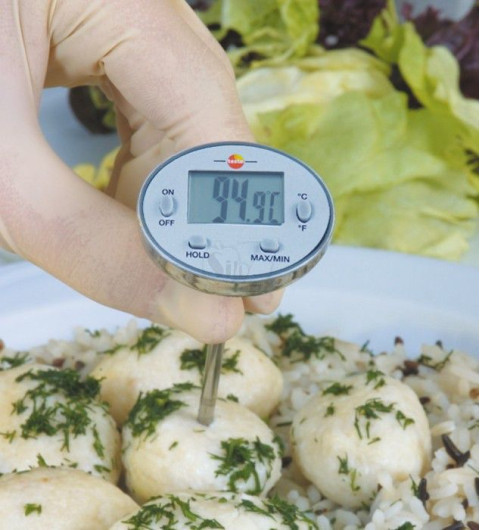 Testo 113 Waterproof IP67 Mini Thermometer