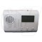 Mobile Wireless Pager for Central Intelligent Call System
